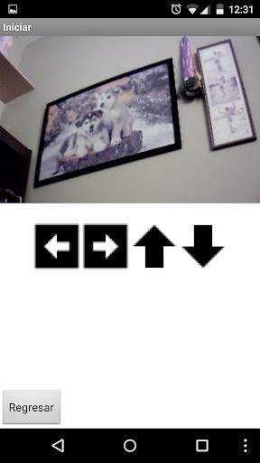 IP Camera B1 Series screenshot 2