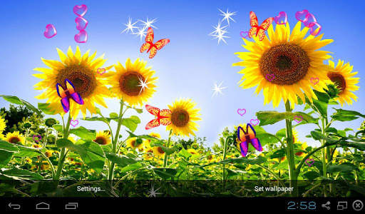 3D Sunflower Wallpaper - Screen Lock, Sensor, Auto screenshot 1