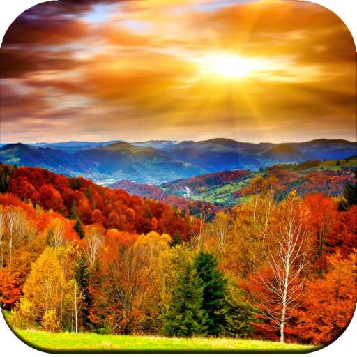 Scenery Wallpaper HD 1.04