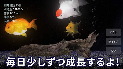 金魚育成アプリ・ポケット金魚 screenshot 3
