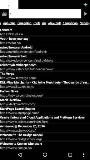 Naked Browser web browser screenshot 4