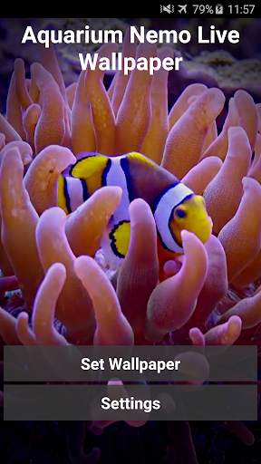 Aquarium Video Live Wallpaper screenshot 1