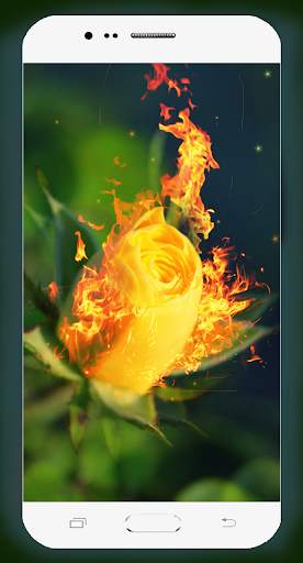 Fire Wallpaper HD screenshot 4
