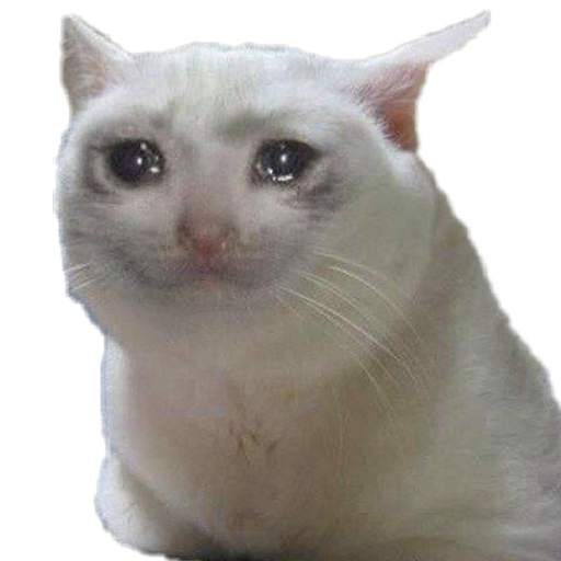 New Cat Memes Stickers For WhatsApp WAStickerApps 1.4