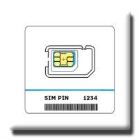 SIM Password on 9Apps