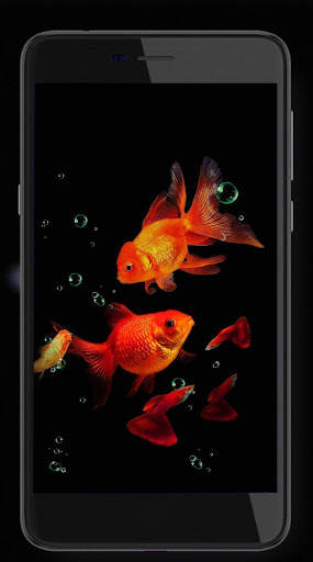 Fish Gold Live Wallpaper screenshot 7