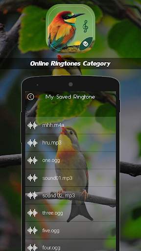 Latest Bird Ringtones 2021 screenshot 6