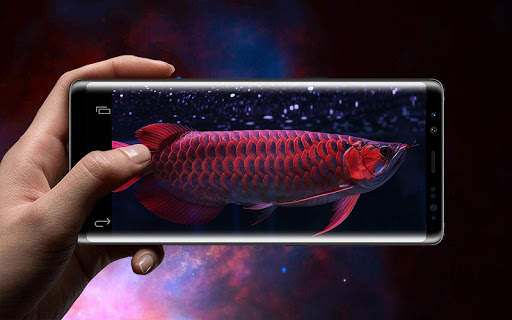 Red Arowana 3D LiveWallpaper screenshot 6