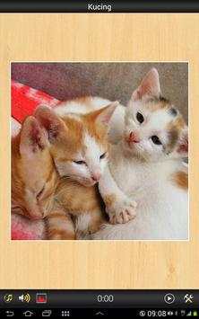 Best Cats game screenshot 2