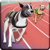 Ultimate Dog Race: greyhound Derby Race icon