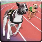 Ultimate Dog Race: greyhound Derby Race 1.1