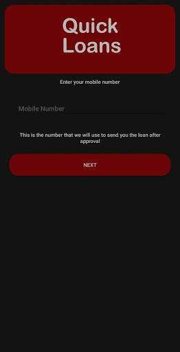 Quick Loans screenshot 2