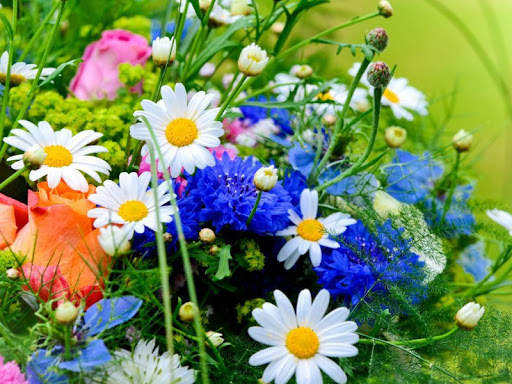 Flowers Wallpapers screenshot 7