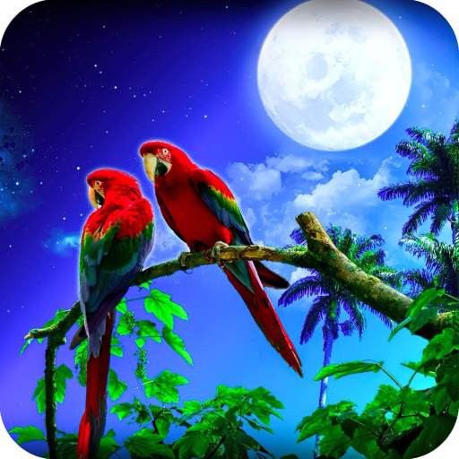 Parrot HD Wallpaper 1.14