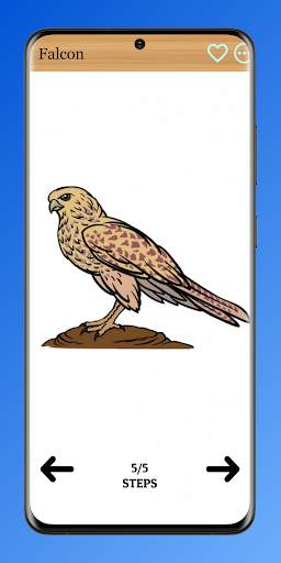 How to Draw Birds of Prey screenshot 6
