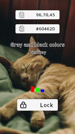 Color Camera screenshot 1