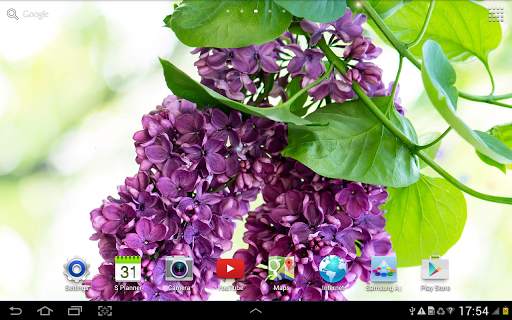 Lilac live wallpaper screenshot 8