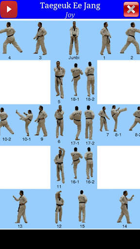 Taekwondo WTF screenshot 8