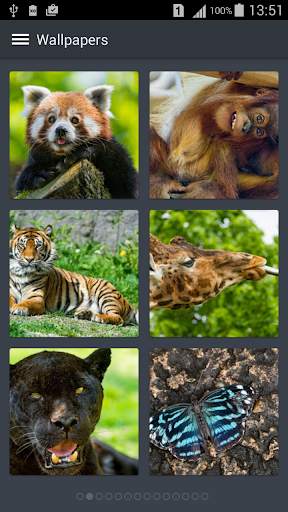 Animal Wallpapers screenshot 1