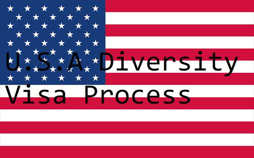 U.S.A DV Lottery Process screenshot 4