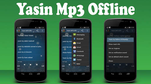 Yasin MP3 Offline By Ten Imam screenshot 1