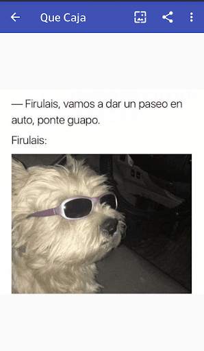 Memes 24 App screenshot 7