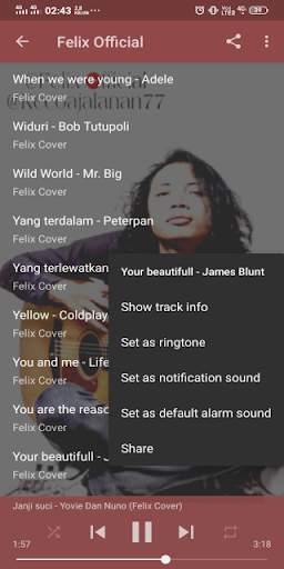 Felix Cover Lengkap Offline screenshot 3