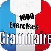 French grammar exercises 1.0