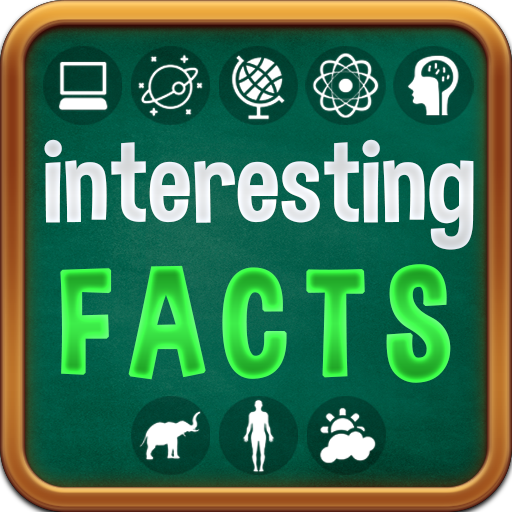 ikon Interesting Facts