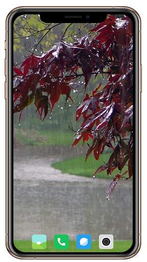 All Seasons Wallpaper screenshot 4