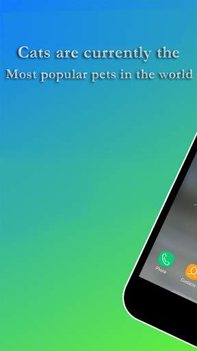 Cat Wallpaper screenshot 1