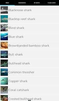 Shark Species: Types of Shark screenshot 5