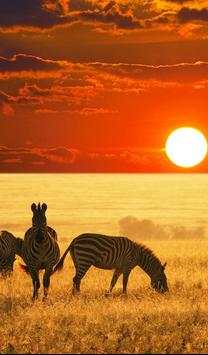 Wild Animals Wallpaper HD screenshot 4