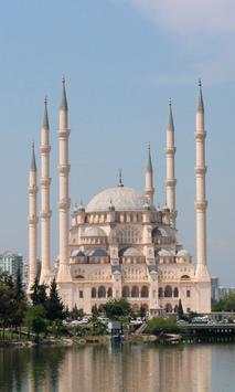 Mosque Wallpapers screenshot 7