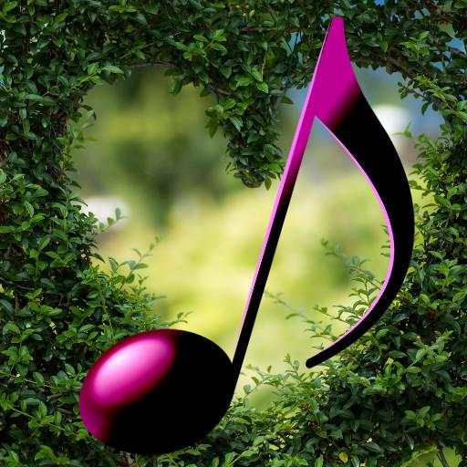 Romantic Classical Music 1.8.9