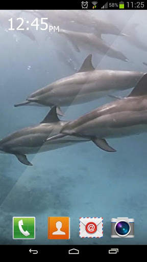 River Dolphin Live Wallpaper screenshot 2