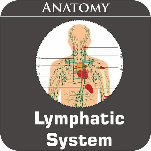Lymphatic System icon