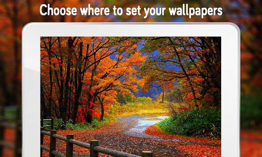 Nature Wallpaper (4k) screenshot 11