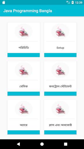 Java Programming Bangla screenshot 2