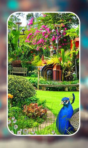 Garden Live Wallpapers screenshot 6