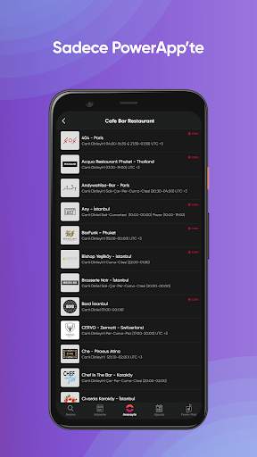 PowerApp screenshot 3