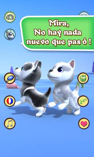 Hablando del perro Husky screenshot 5