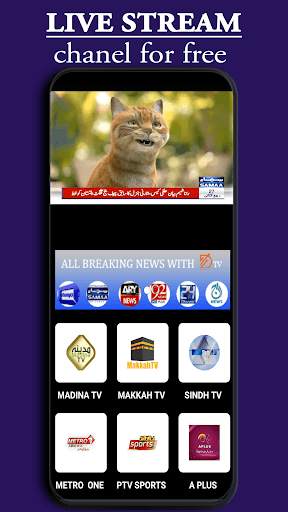 Pakistan News TV screenshot 2