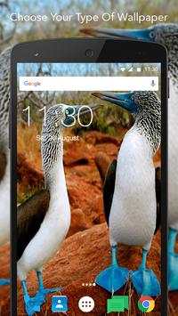 Free Live Bird Wallpaper screenshot 4