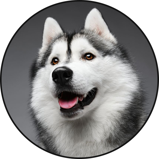 Siberian Husky Dog Sounds icon