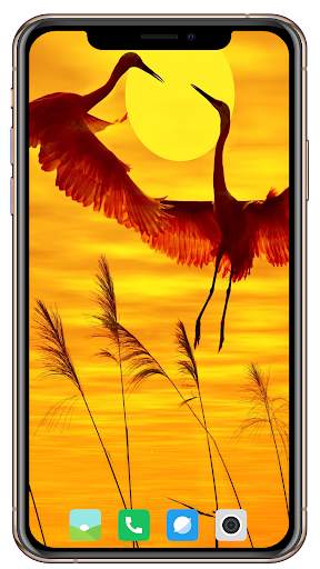 Nice Sunrise  Wallpaper screenshot 13