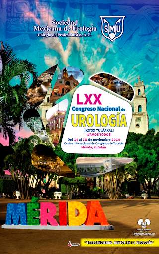 LXX Congreso Nacional SMU screenshot 3