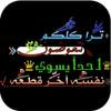 عبارات شفافة حديثة 10.1