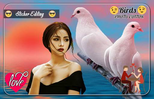 Birds Photo Editor screenshot 4