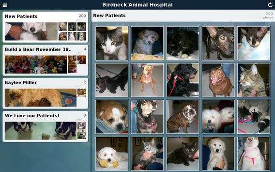 Birdneck Animal Hospital screenshot 3